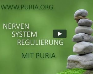 Nervensystemregulierung cover1x1